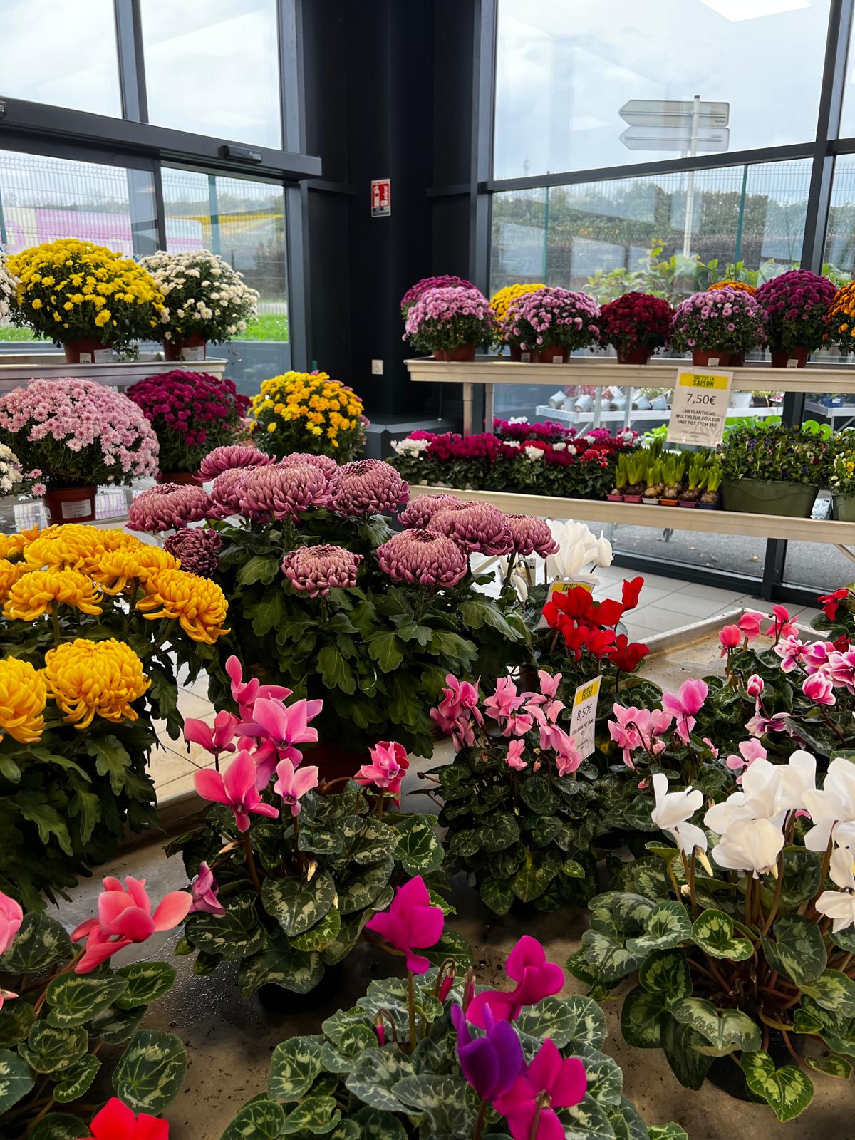 Miniature de la galerie