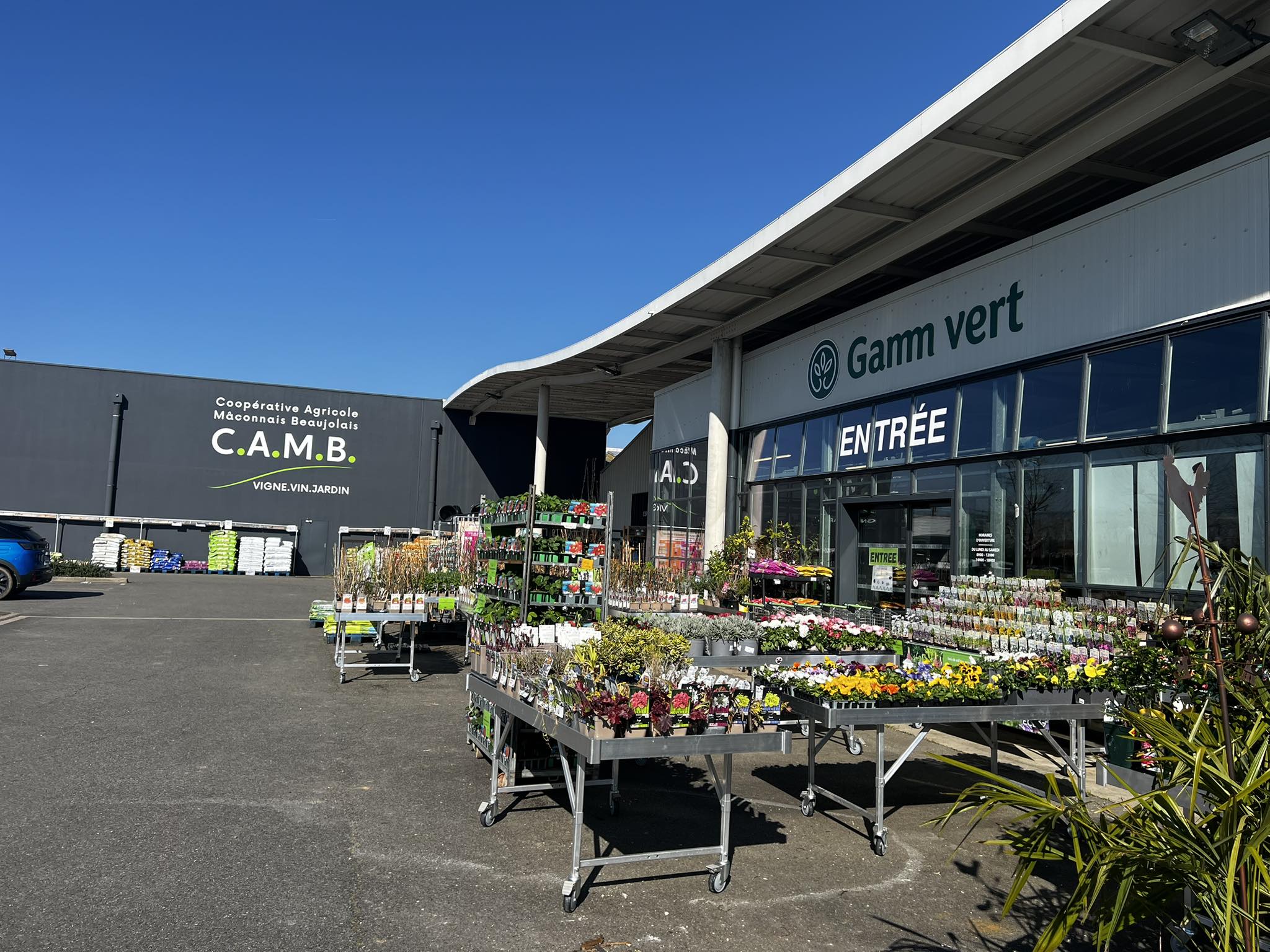 Miniature de la galerie