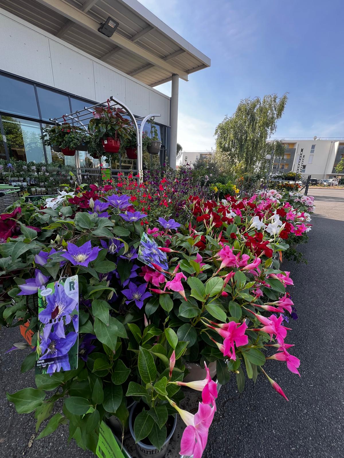 Miniature de la galerie