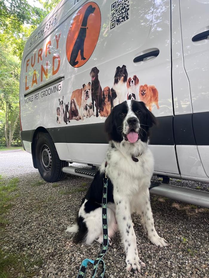 Furry Land Mobile Pet Grooming Fairfield County - Stamford, CT