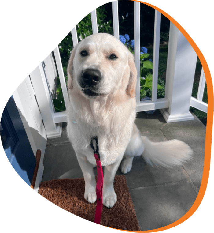 Furry Land Mobile Pet Grooming Fairfield County - Stamford, CT