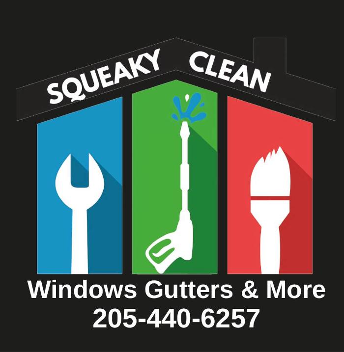 Squeaky Clean Windows , Gutters & More - Birmingham, AL