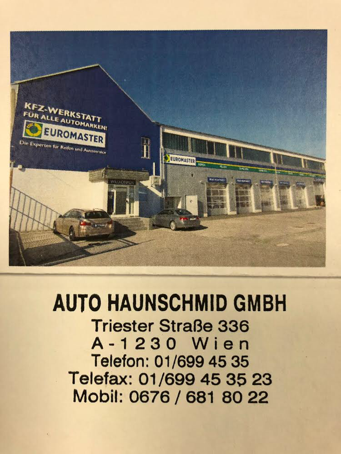 Auto Haunschmid GmbH, Triester Straße in Wien
