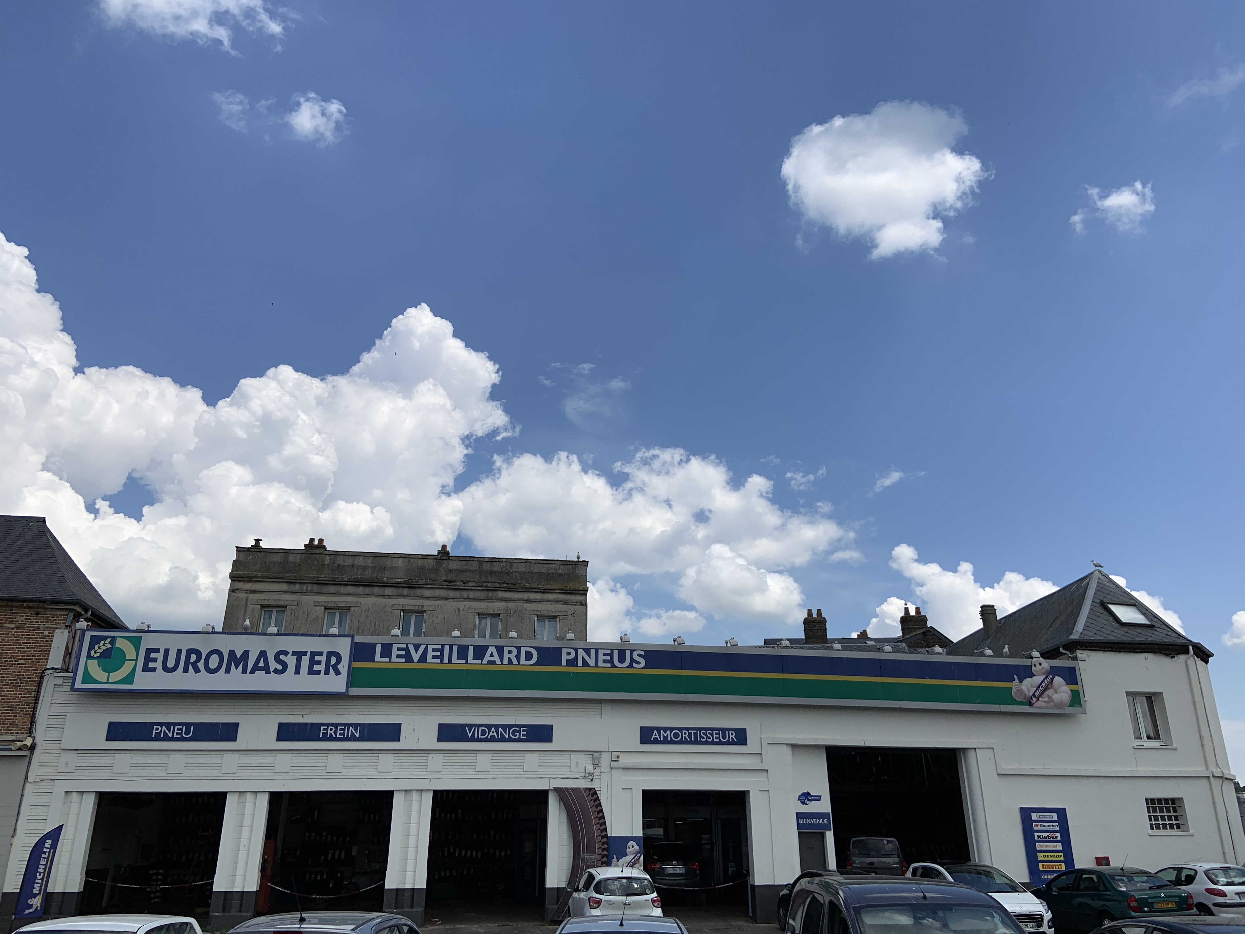 Miniature de la galerie