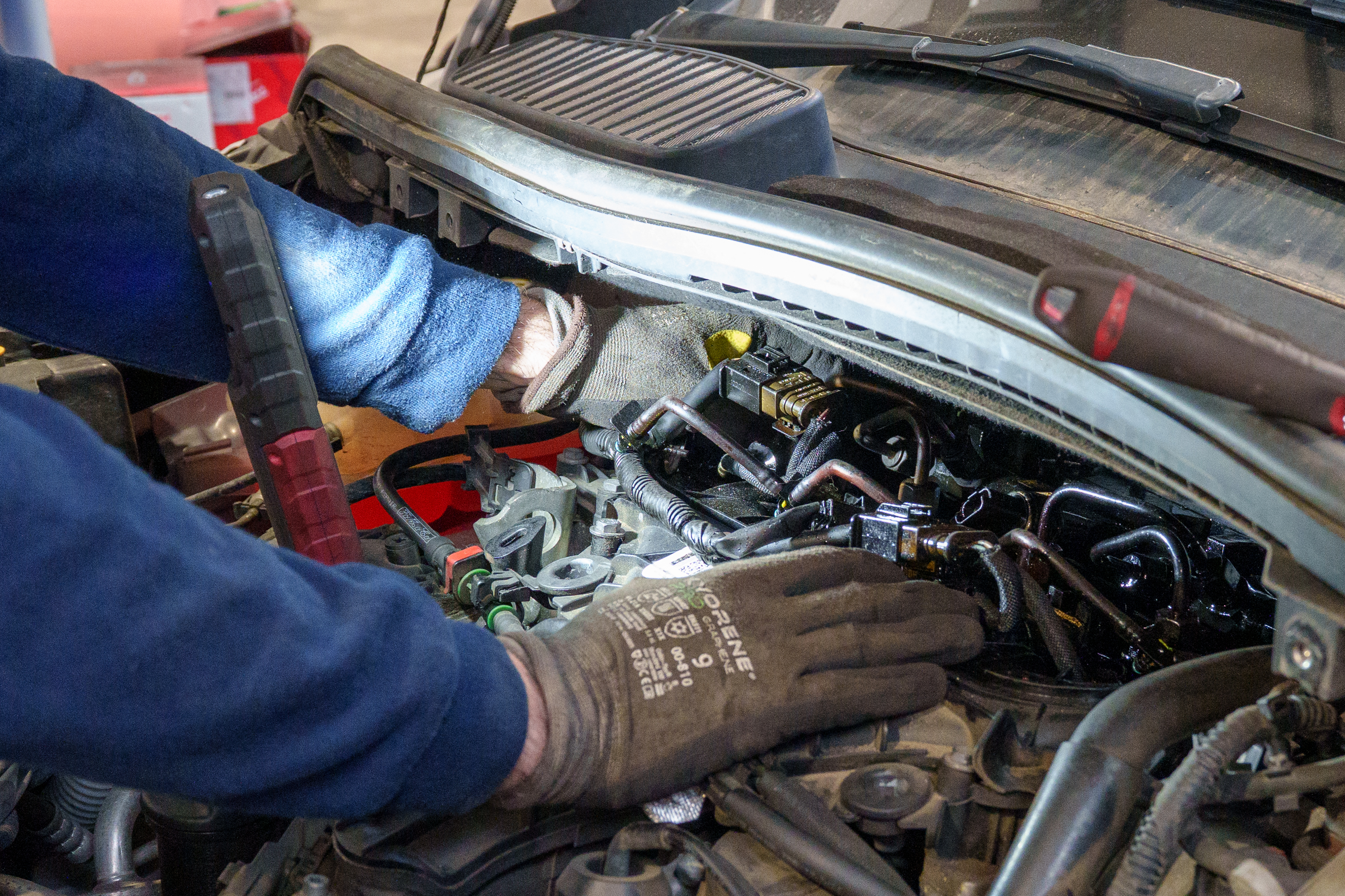 galerie image galerie image