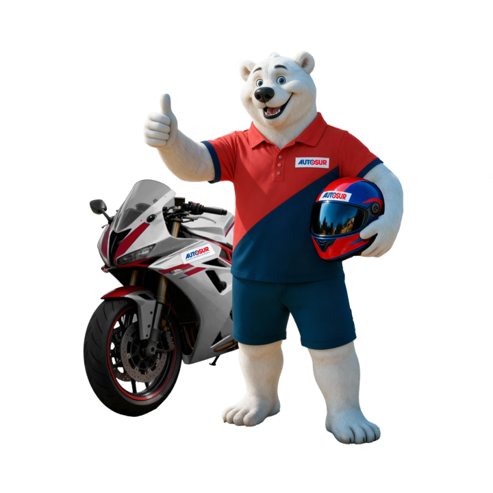 AUTOSUR Limonest Autres services