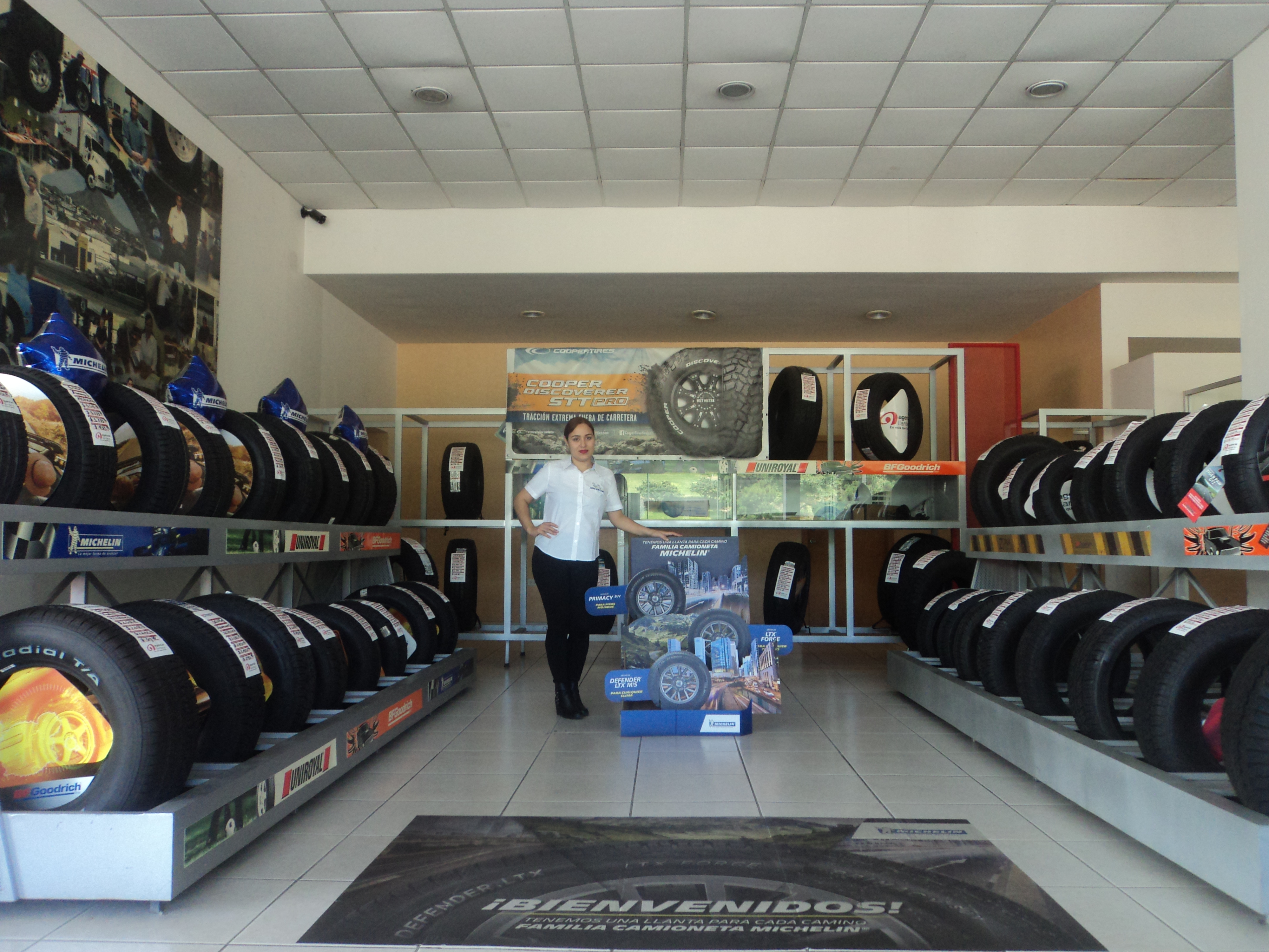 Galería en miniatura