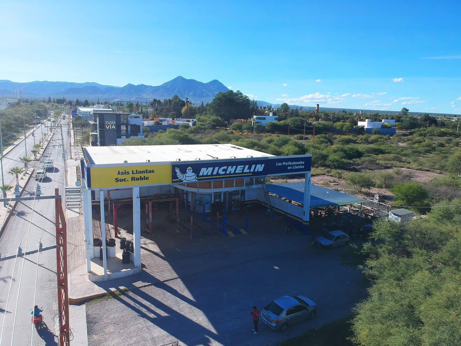 Galería en miniatura