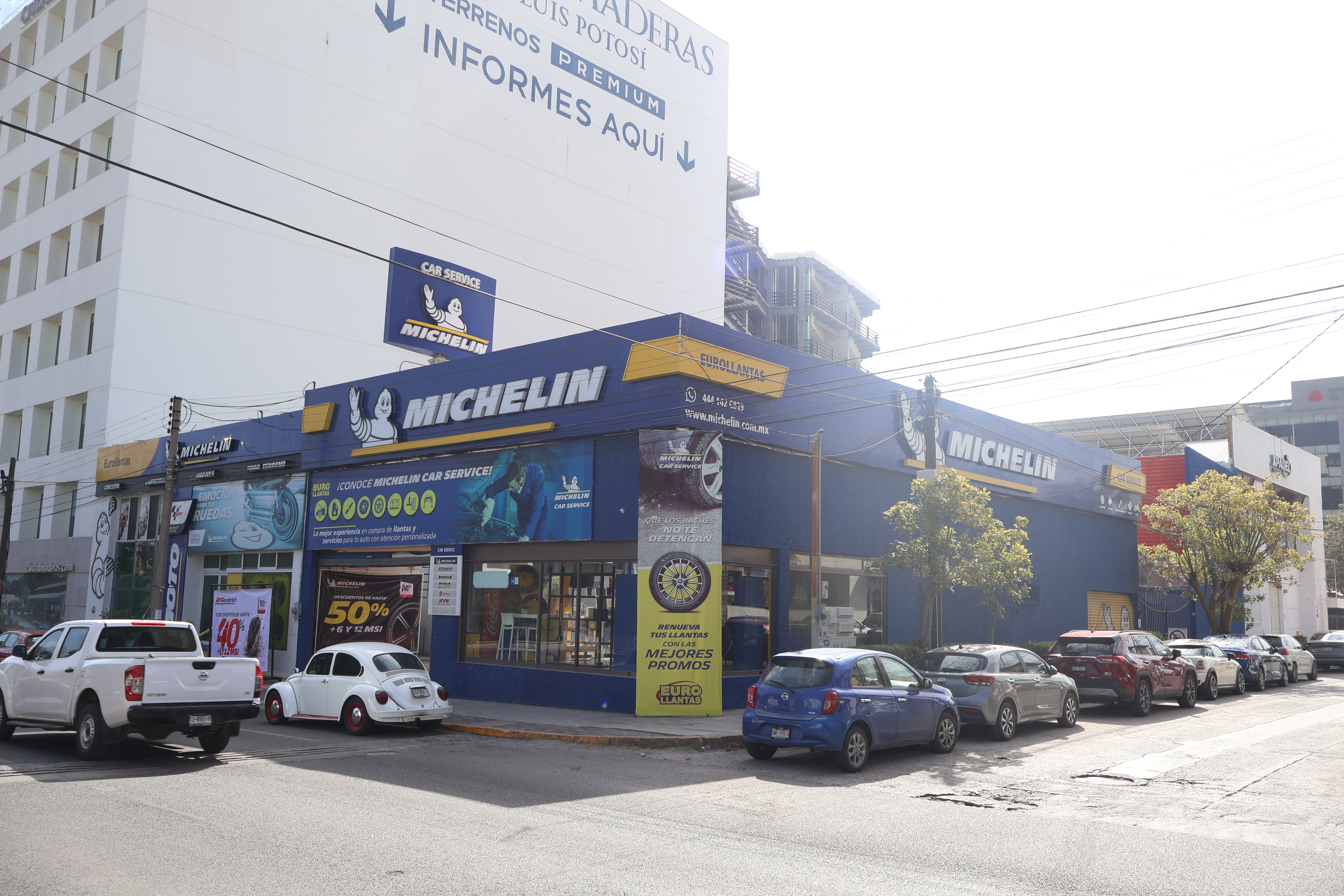 Galería en miniatura