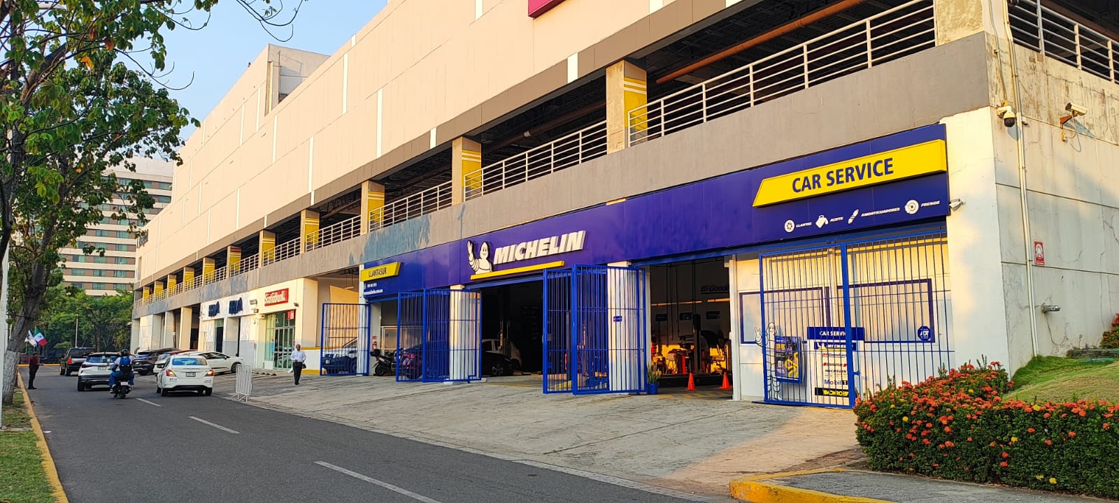 Galería en miniatura