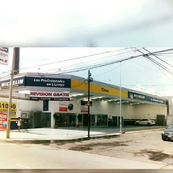 Galería en miniatura