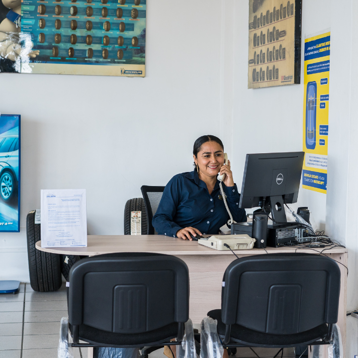 Galería en miniatura