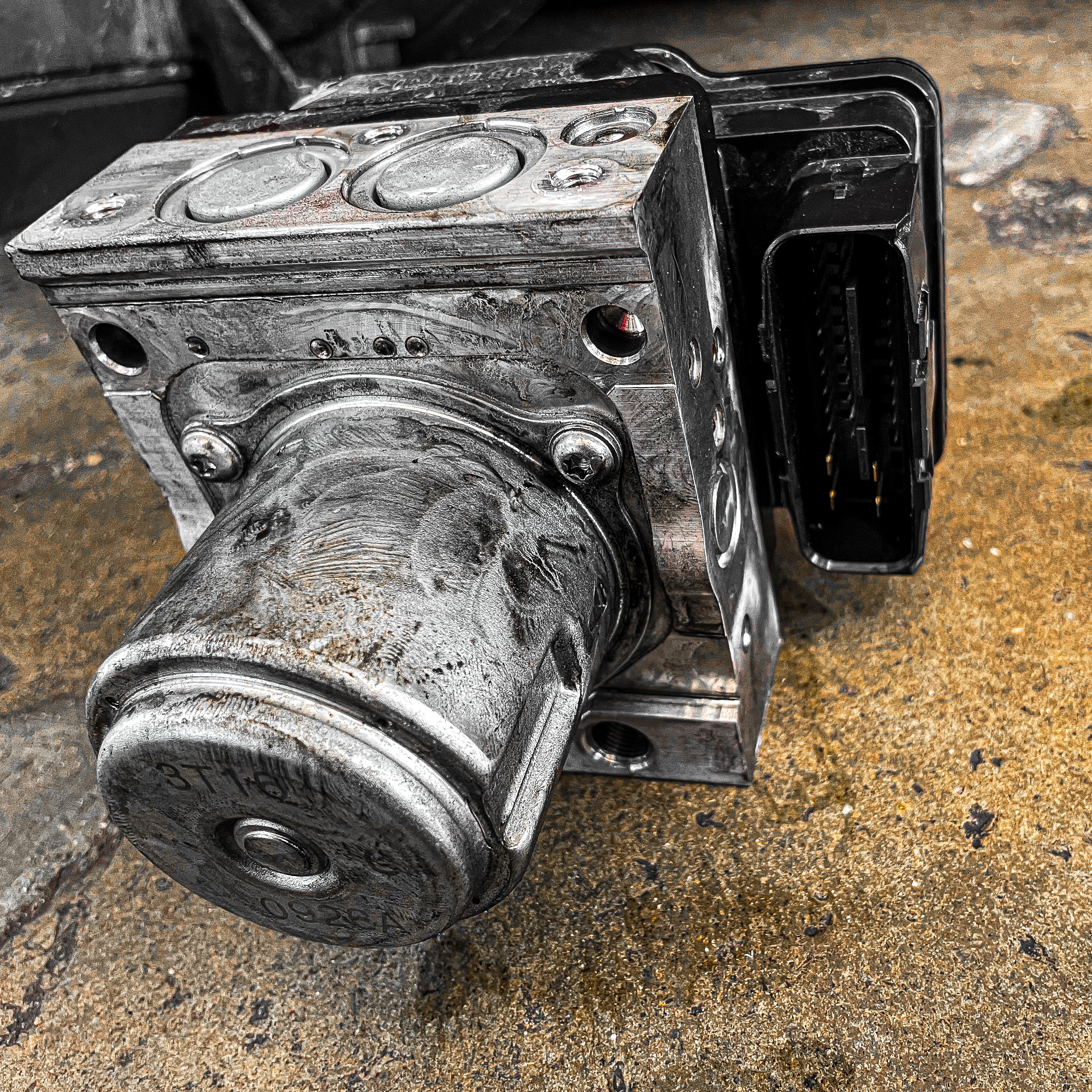 Gallery thumbnail