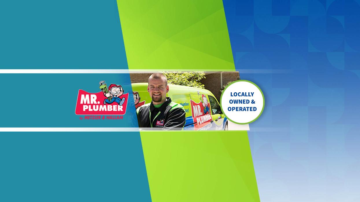 Mr. Plumber by Metzler & Hallam Image