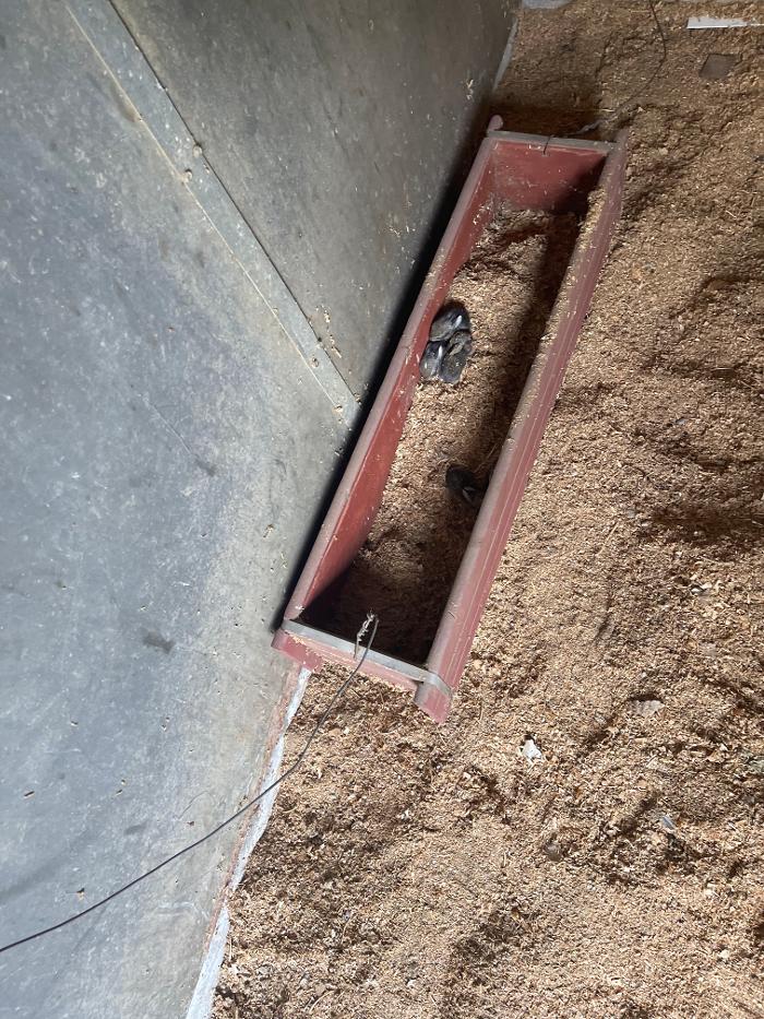 E.B. Haul - Murrieta, CA