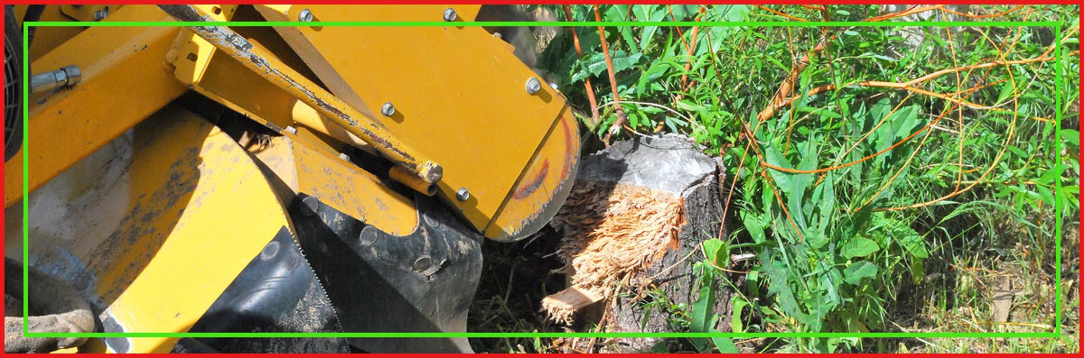 E.B. Haul - Murrieta, CA