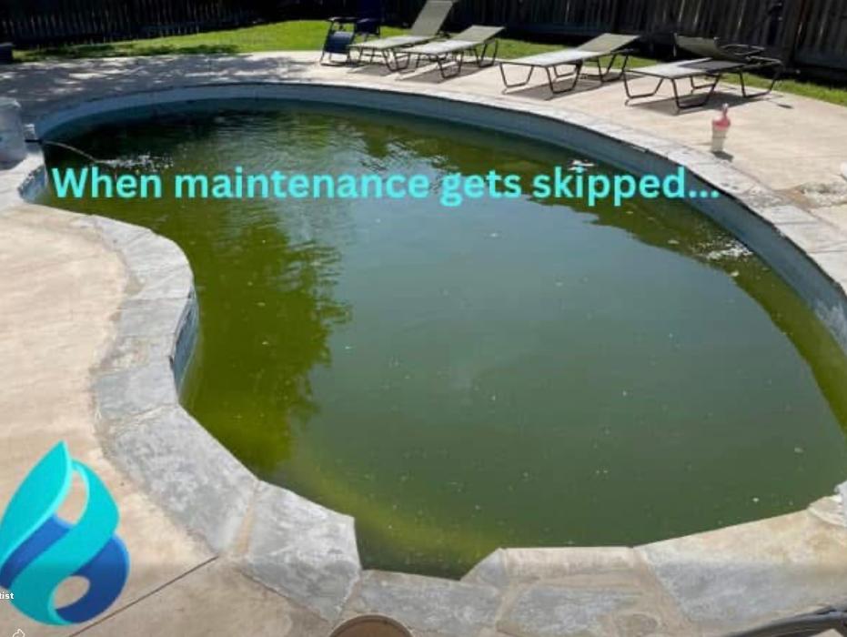 Pool Scientist Image