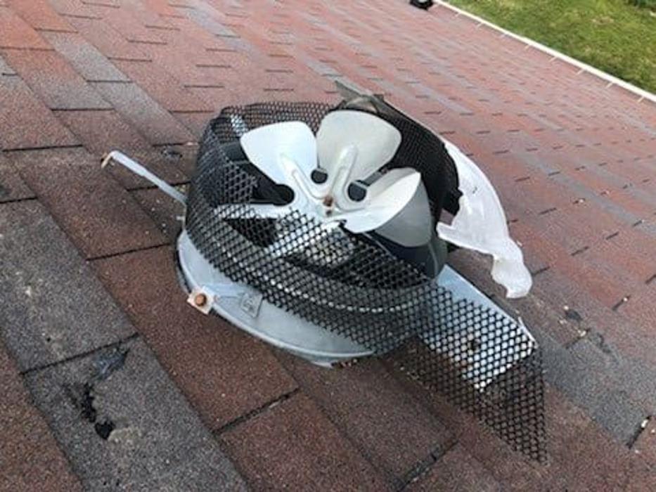 Critter Control - Fairfax, VA