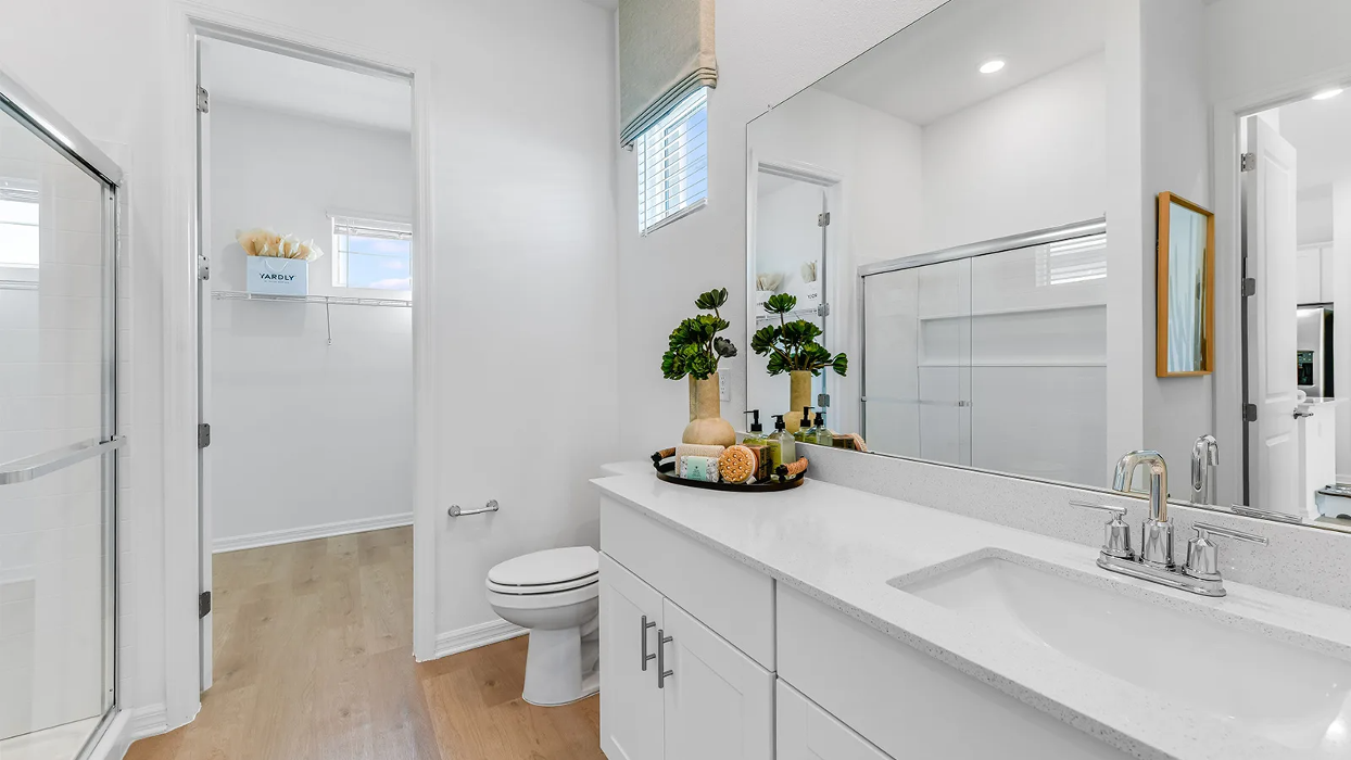 Yardly Ellenton Image