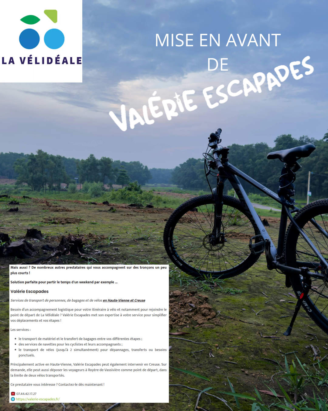 galerie image