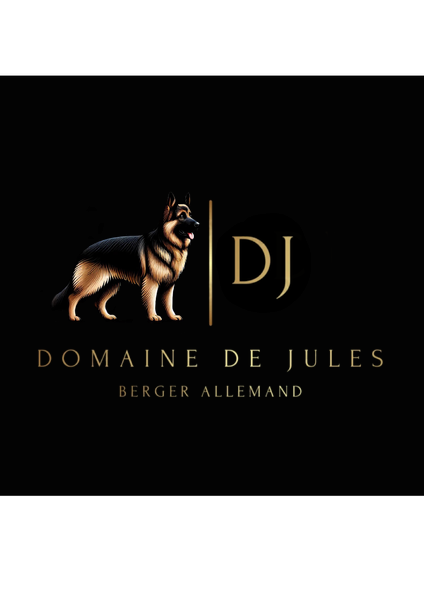 Domaine de Jules élevage de chiens, de chats