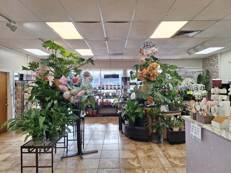Albuquerque Florist Image