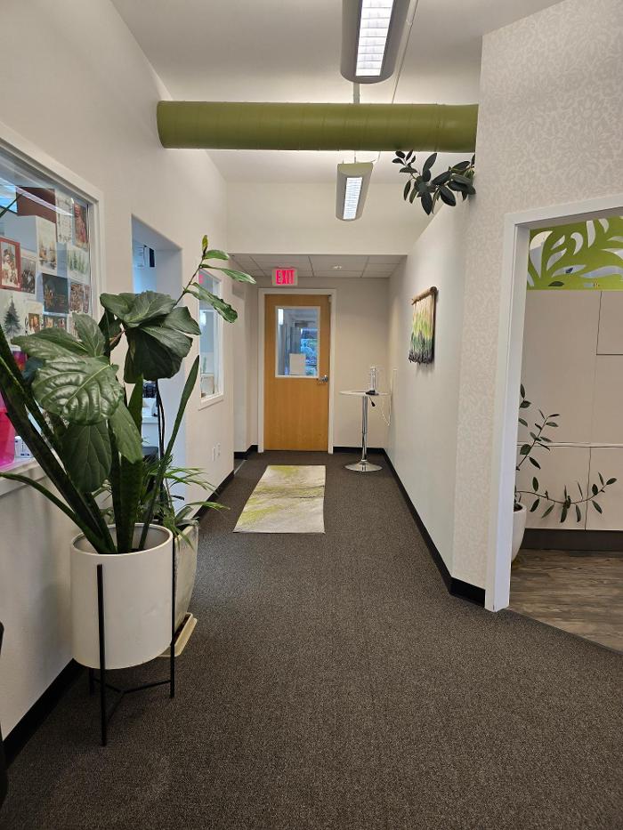 White Dental Studio Image