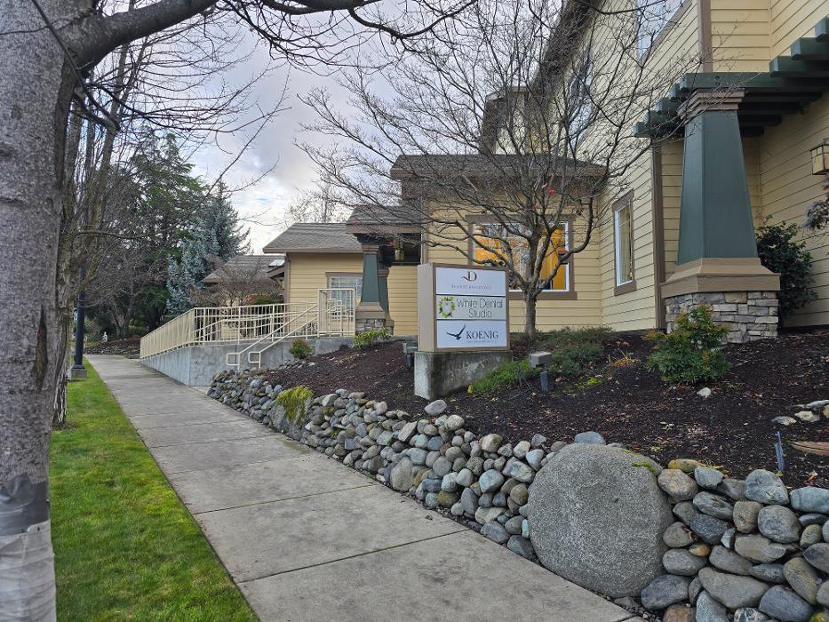 White Dental Studio Image