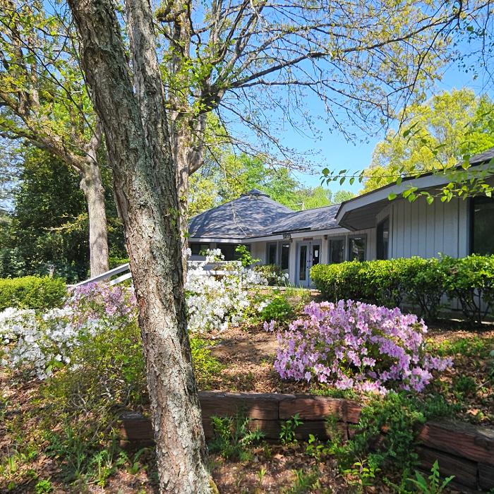 Wellness Chiropractic Center Image