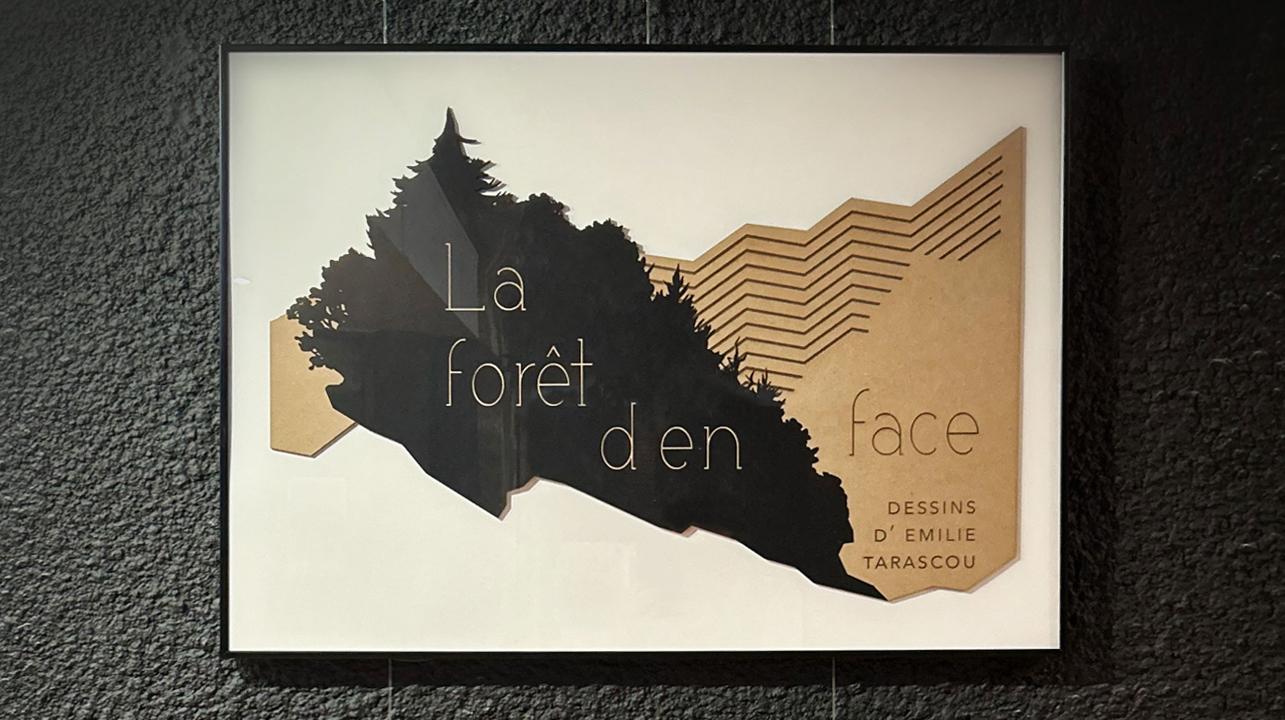 galerie image