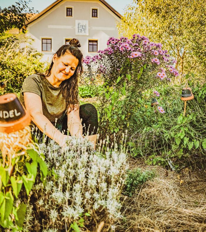 SONNENTOR Frei-Hof, Sprögnitz in Sprögnitz