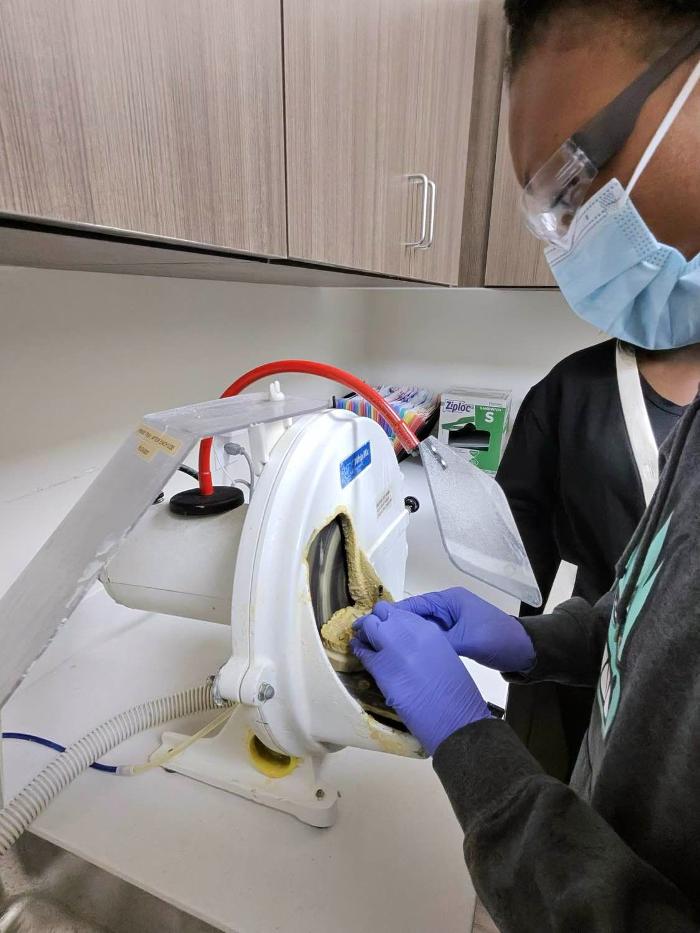 Savannah Dental Assistant School - Pooler