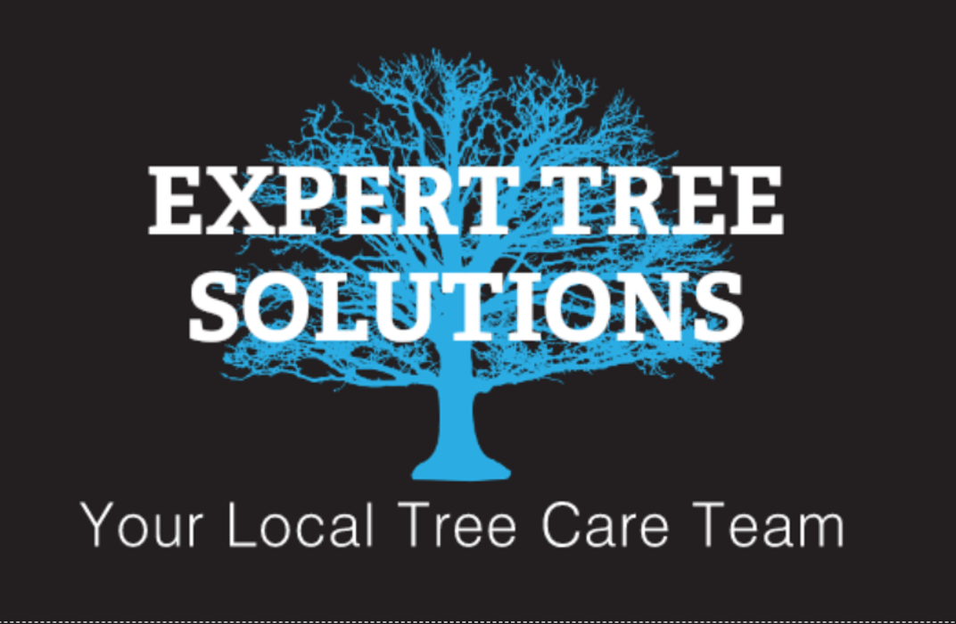Expert Tree Solutions