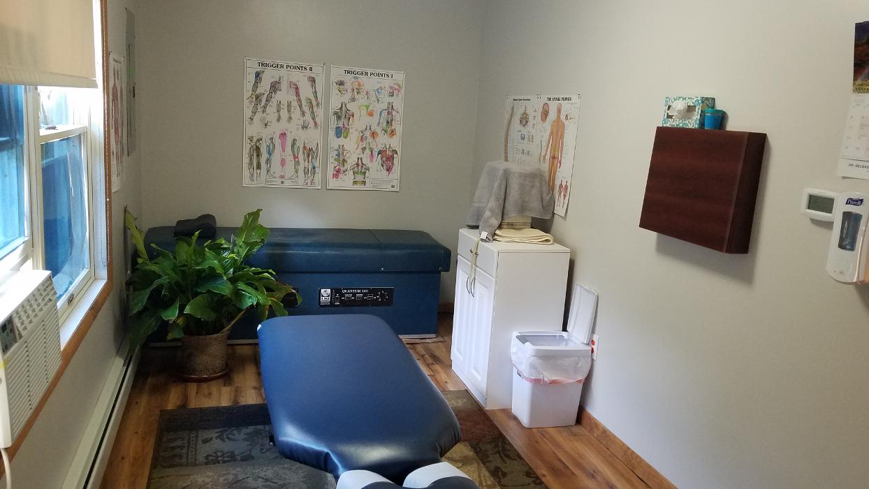 Spine and Chiropractic Center - Ferndale, NY