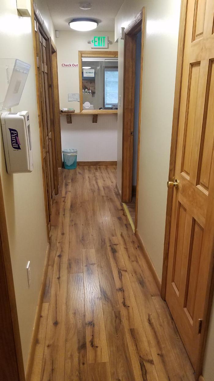 Spine and Chiropractic Center - Ferndale, NY