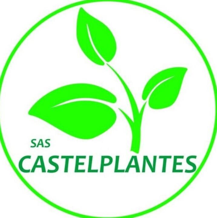 Castelplantes paysagiste conseil