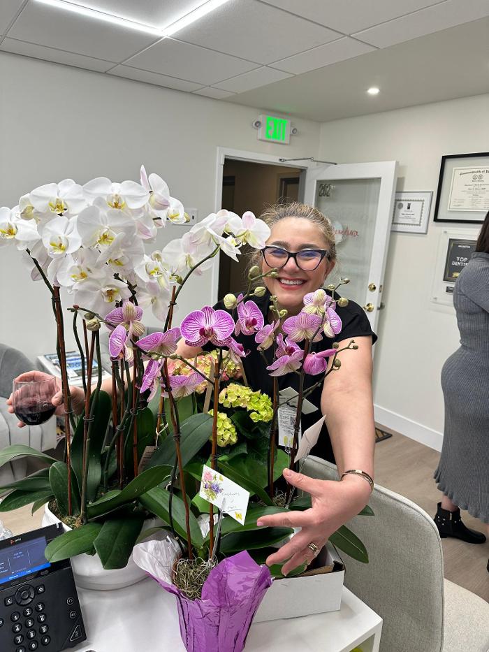 Mclean Aura Dentistry Logo