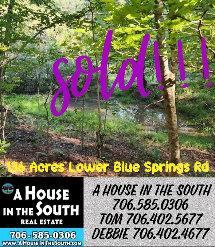 A House in the South Real Estate - Hamilton, GA