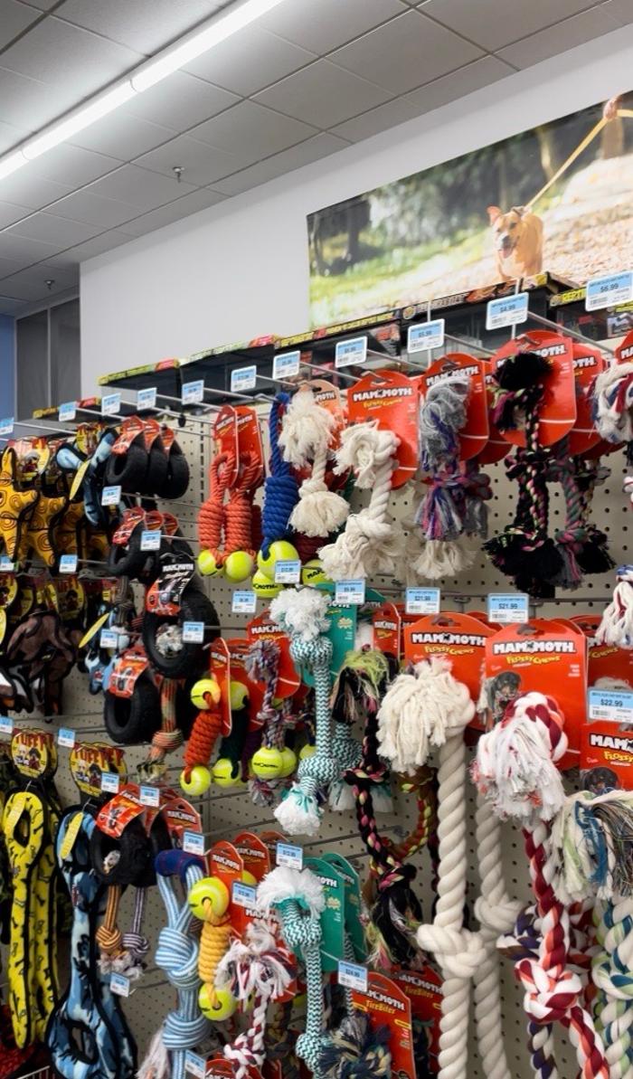 Petsense by Tractor Supply Image