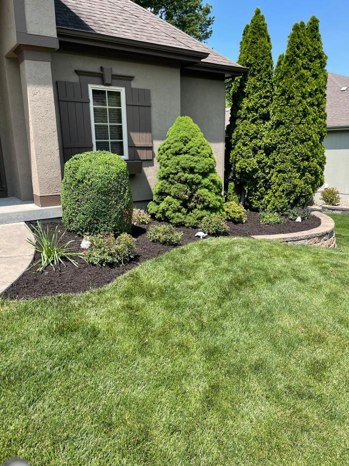 Van Tol Lawn Care LLC - Dearborn, MO