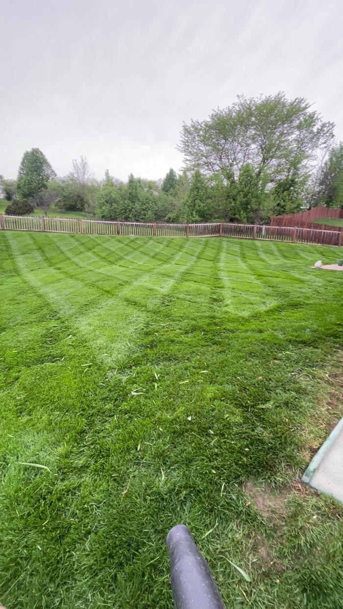 Van Tol Lawn Care LLC - Dearborn, MO
