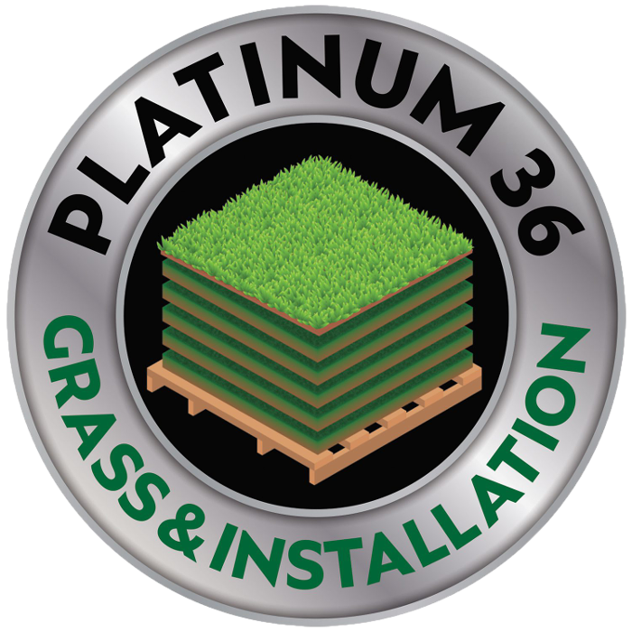 Platinum 36 Grass & Installation