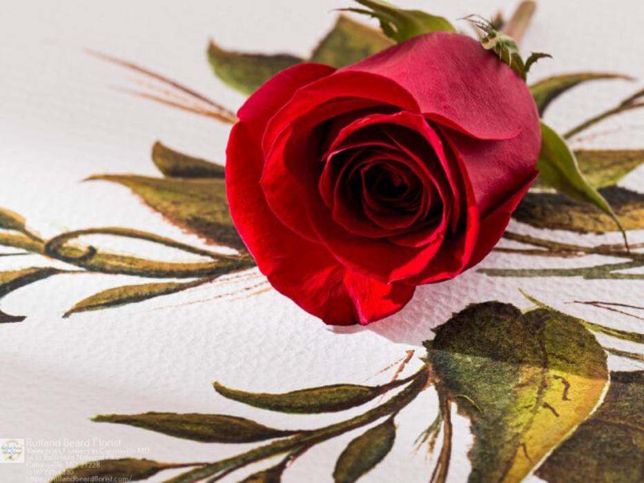 The Flower Bucket Image