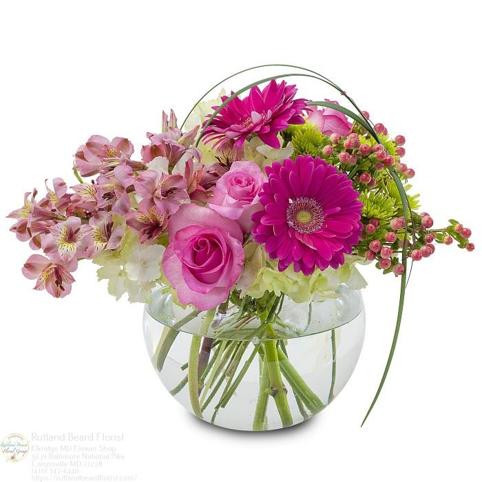 The Flower Bucket Image