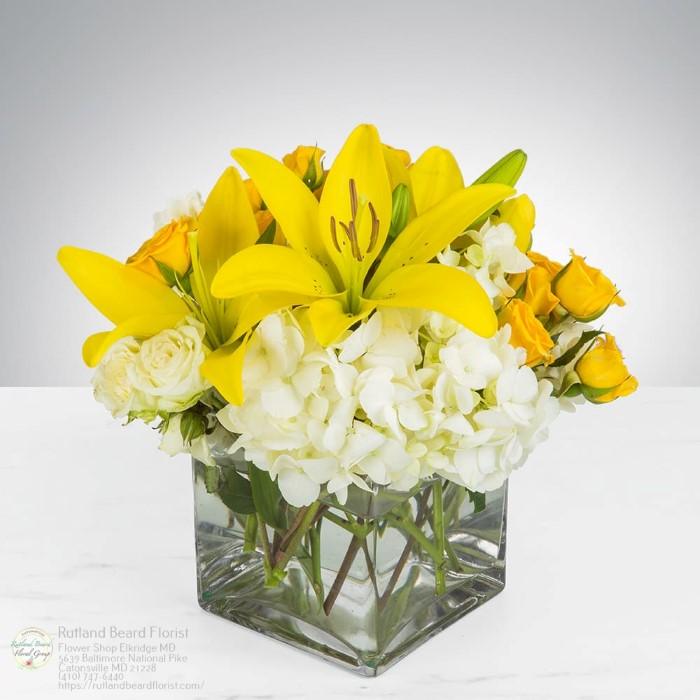 The Flower Bucket Image