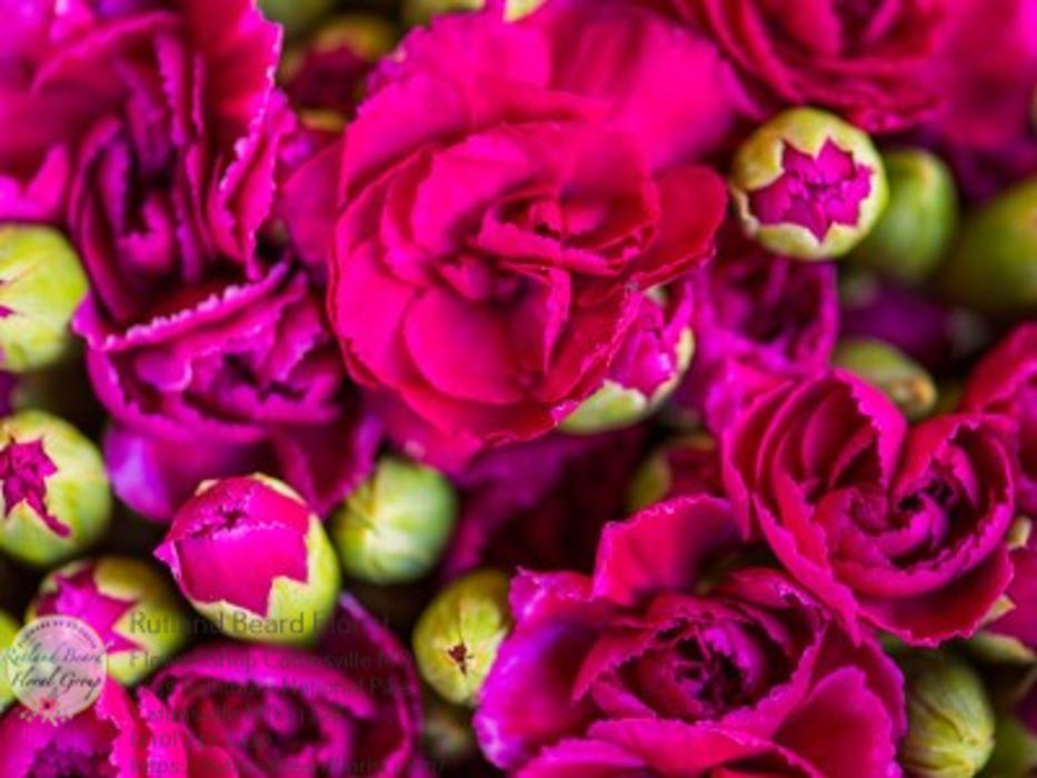 The Flower Bucket Image