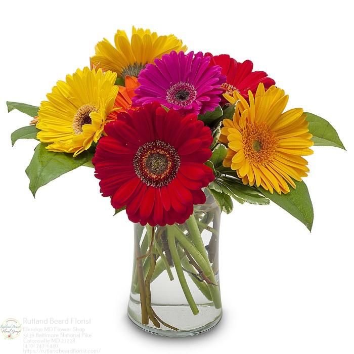 The Flower Bucket Image