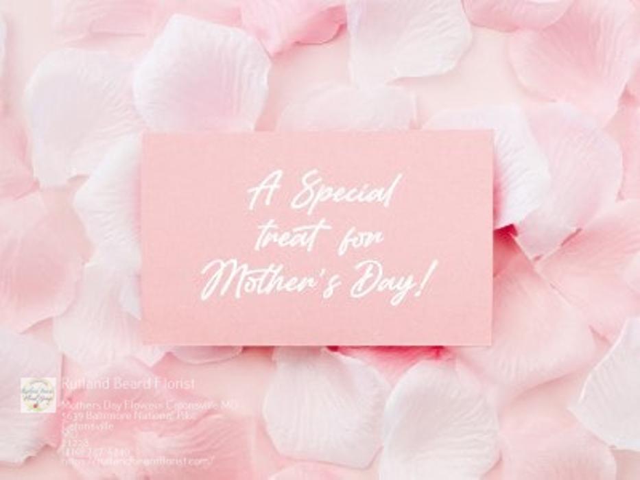 The Flower Bucket Image