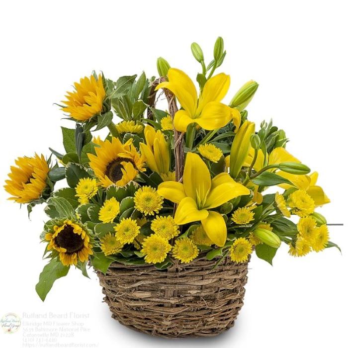 The Flower Bucket Image
