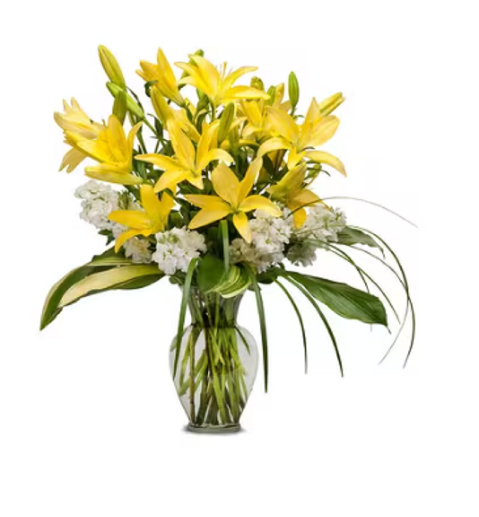 The Flower Bucket Image